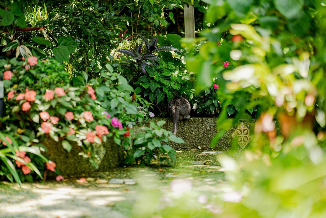 Olive Tree Village Guesthouse Nanzhuang Εξωτερικό φωτογραφία